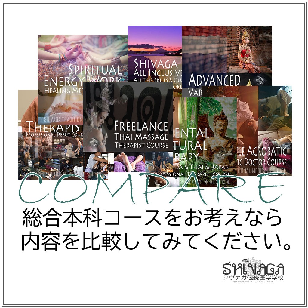 総合ｺｰｽ比較＆資格比較