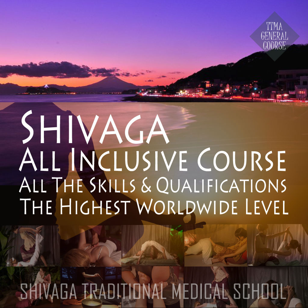 オールオブシヴァカ総合本科コース