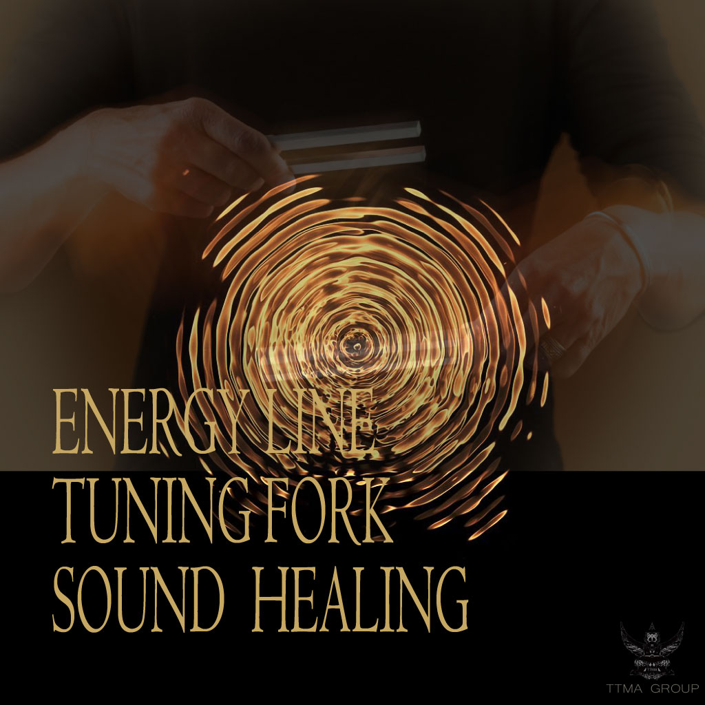 陰陽五行 14経絡 音叉サウンドヒーリング