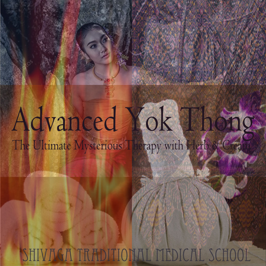 ヨクトーン実践編　ハーブ＆クリームヨクトーン