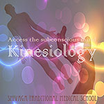 キネシオロジー