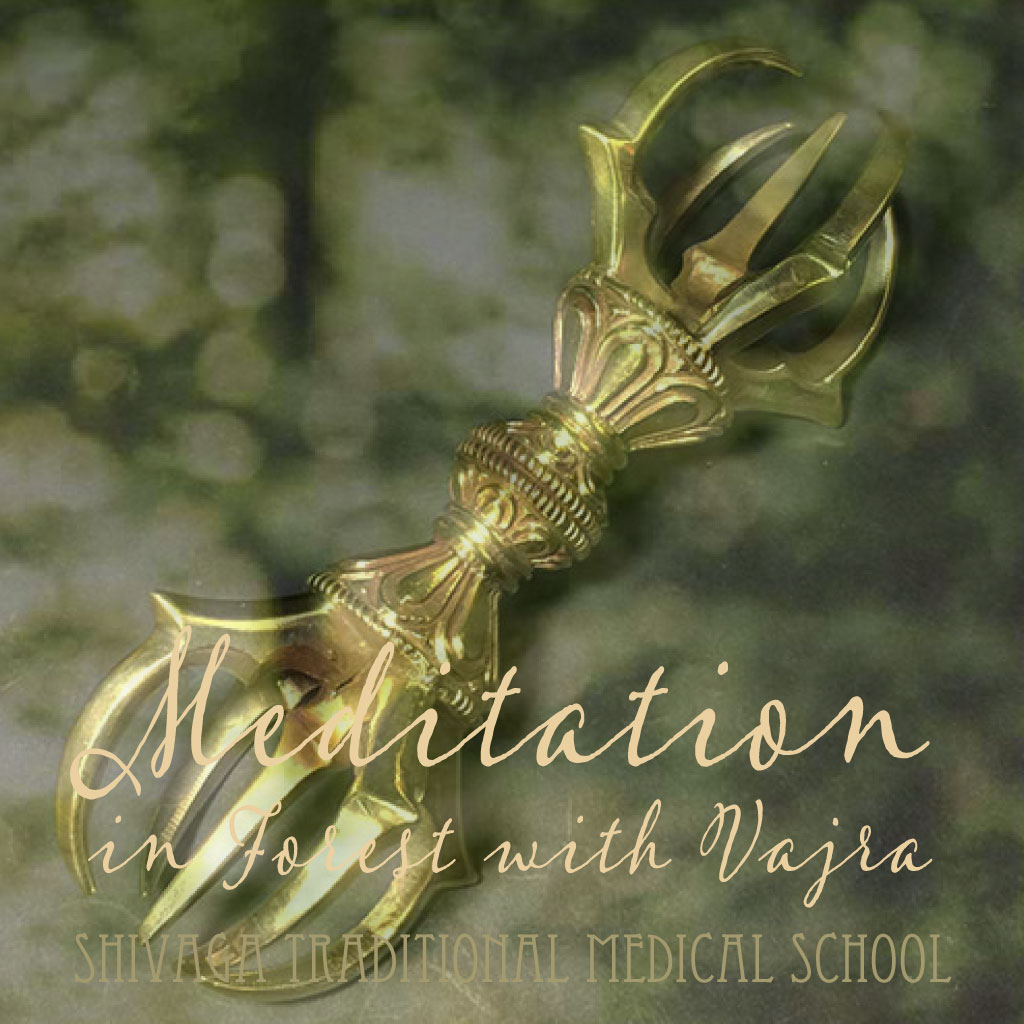 ヒーラー体験：森に溶け込む瞑想＆チベットバジュラ瞑想