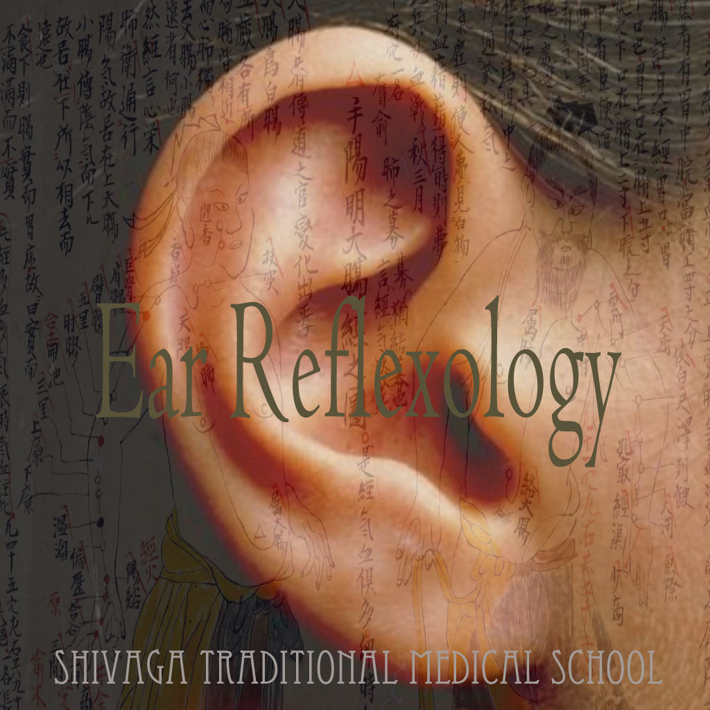 イヤー リフレクソロジー