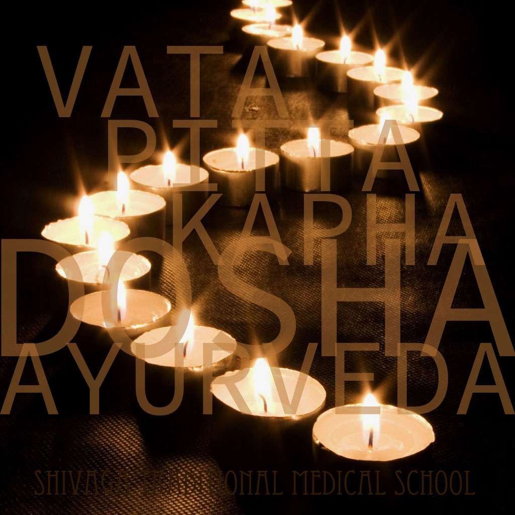 アーユルヴェーダ ドーシャ理論と診断