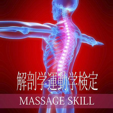 解剖学・運動学検定