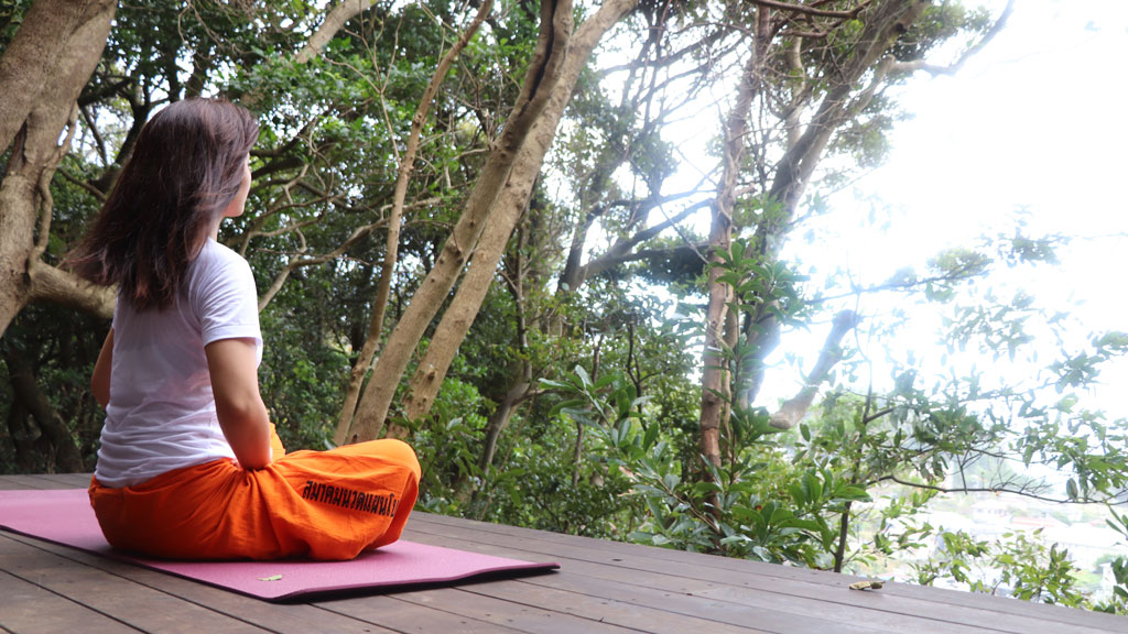 TTMA公認シヴァカ伝統医学学校