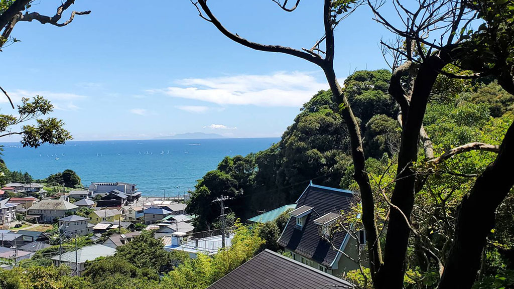 TTMA公認シヴァカ伝統医学学校