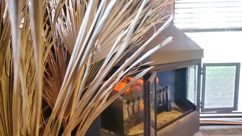 TTMA公認シヴァカ伝統医学学校