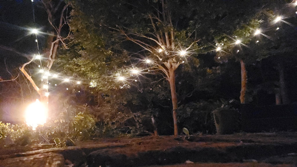 TTMA公認シヴァカ伝統医学学校