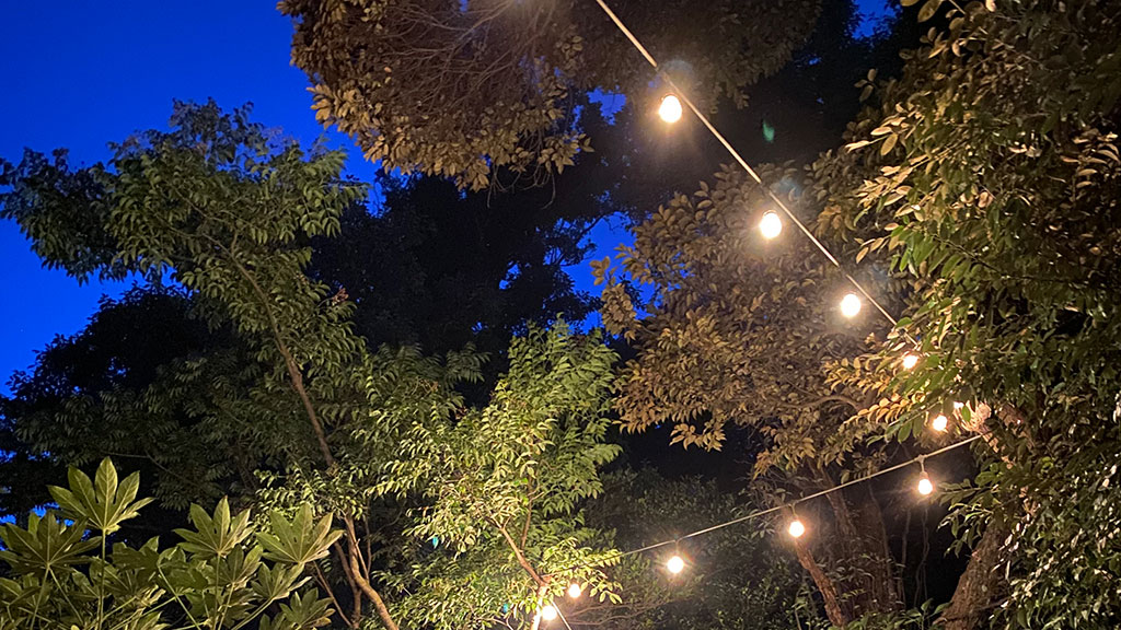 TTMA公認シヴァカ伝統医学学校