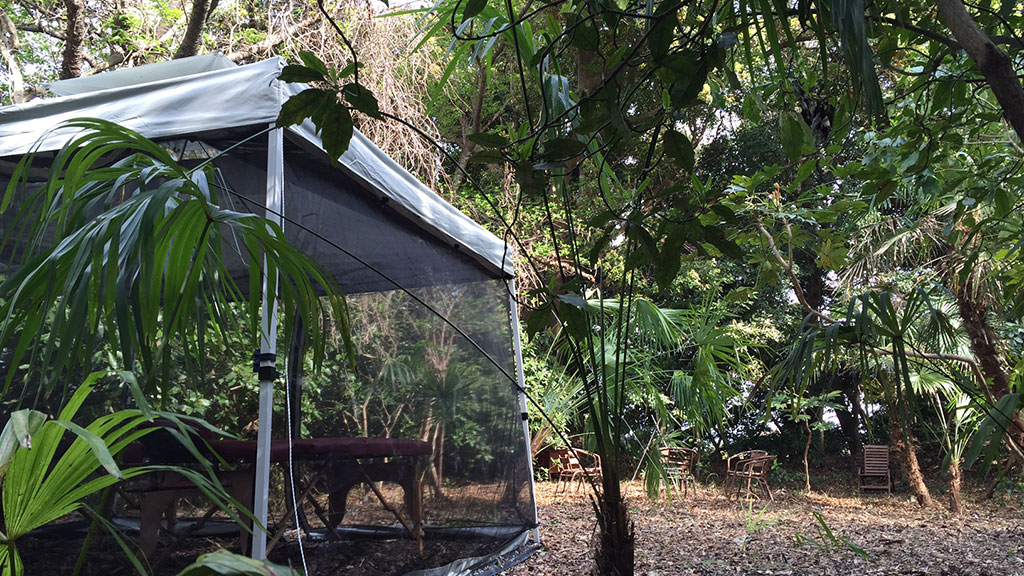 TTMA公認シヴァカ伝統医学学校