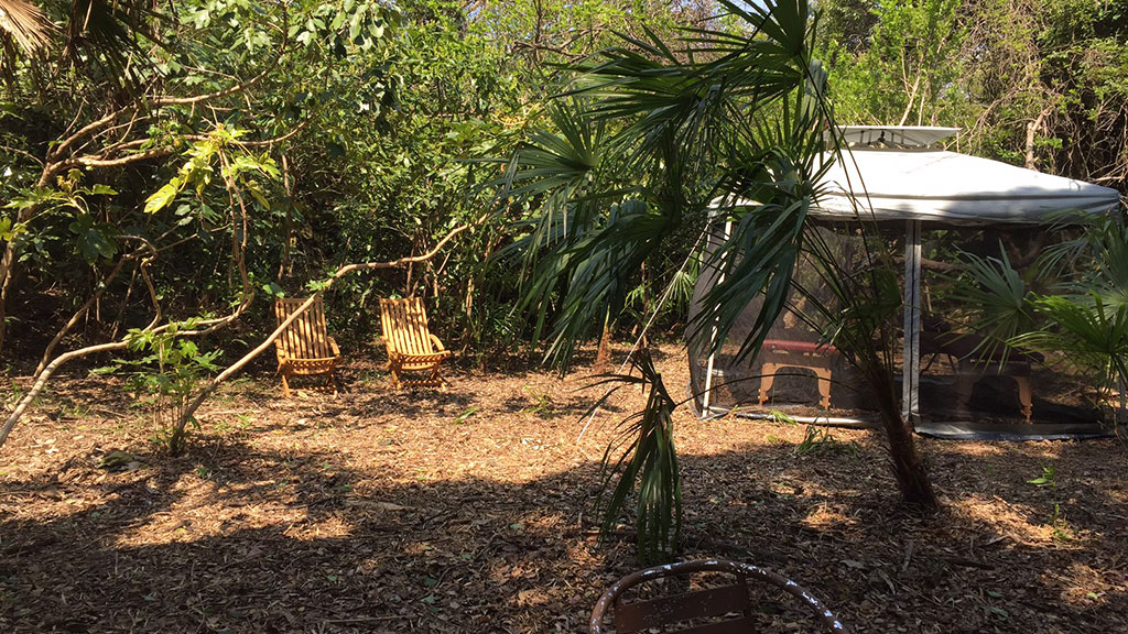 TTMA公認シヴァカ伝統医学学校