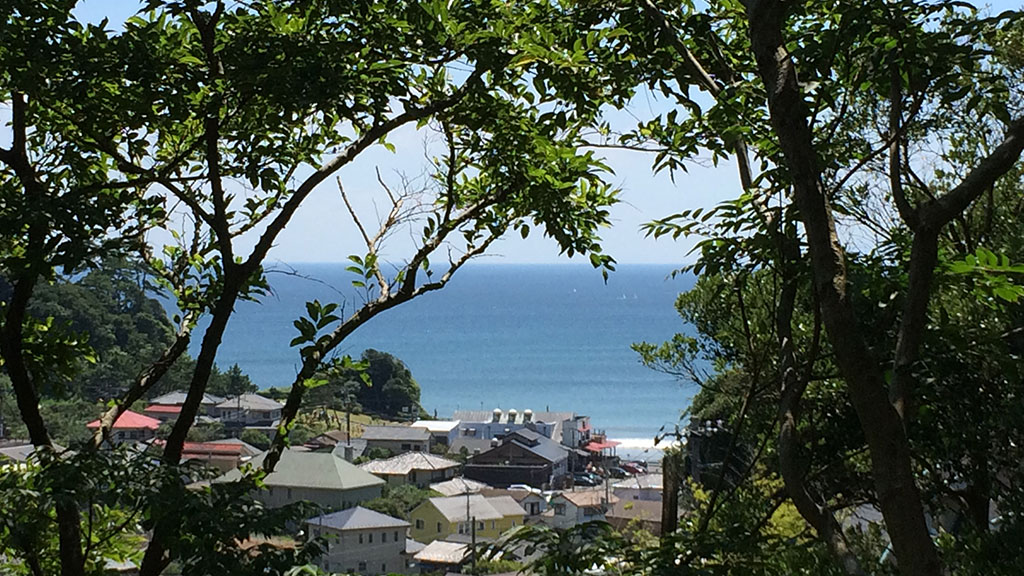 TTMA公認シヴァカ伝統医学学校