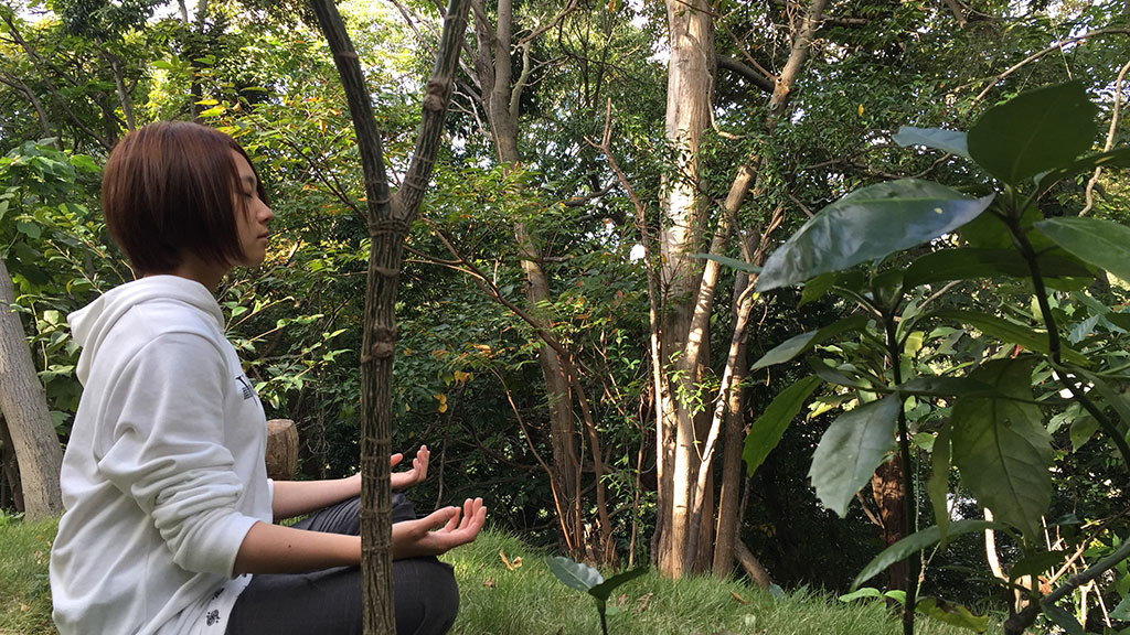 TTMA公認シヴァカ伝統医学学校