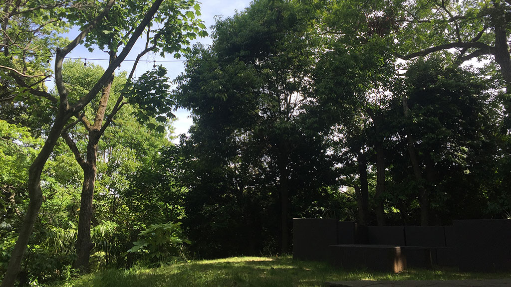 TTMA公認シヴァカ伝統医学学校