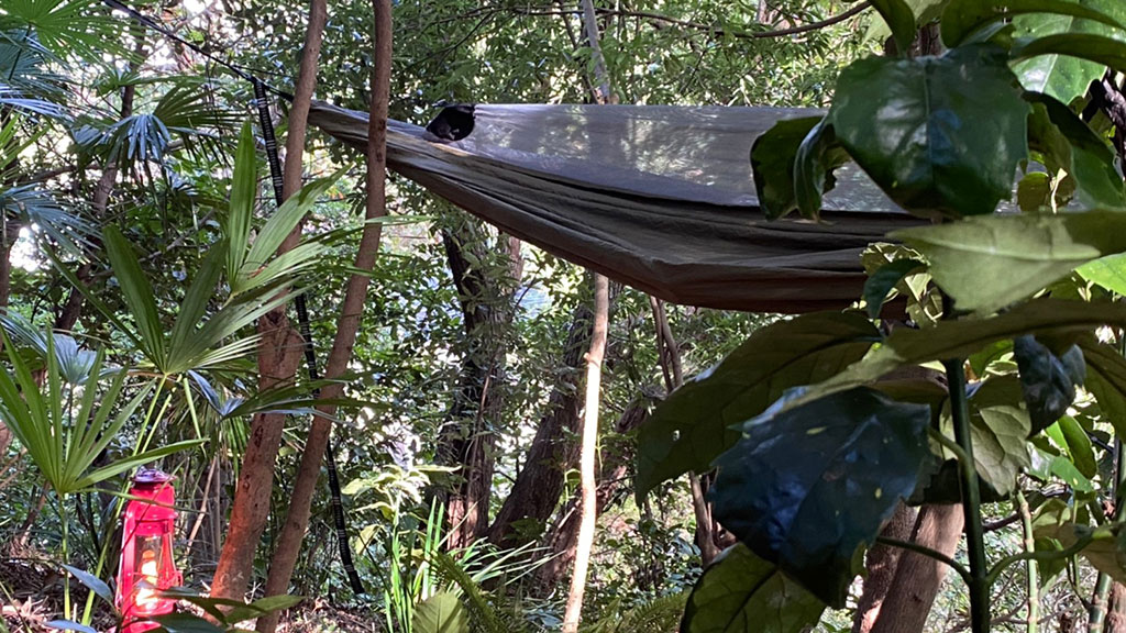 TTMA公認シヴァカ伝統医学学校