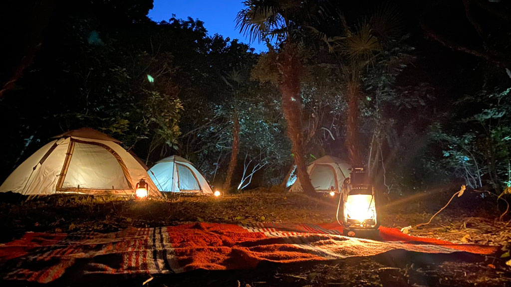 TTMA公認シヴァカ伝統医学学校