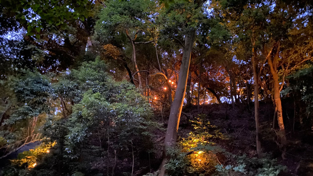 TTMA公認シヴァカ伝統医学学校