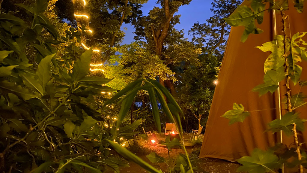 TTMA公認シヴァカ伝統医学学校