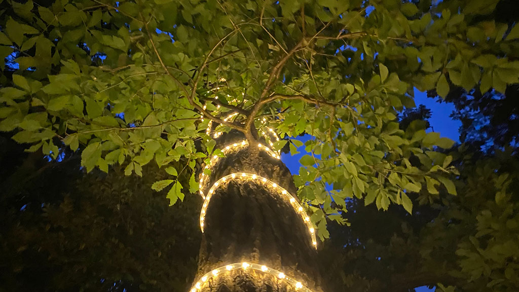 TTMA公認シヴァカ伝統医学学校