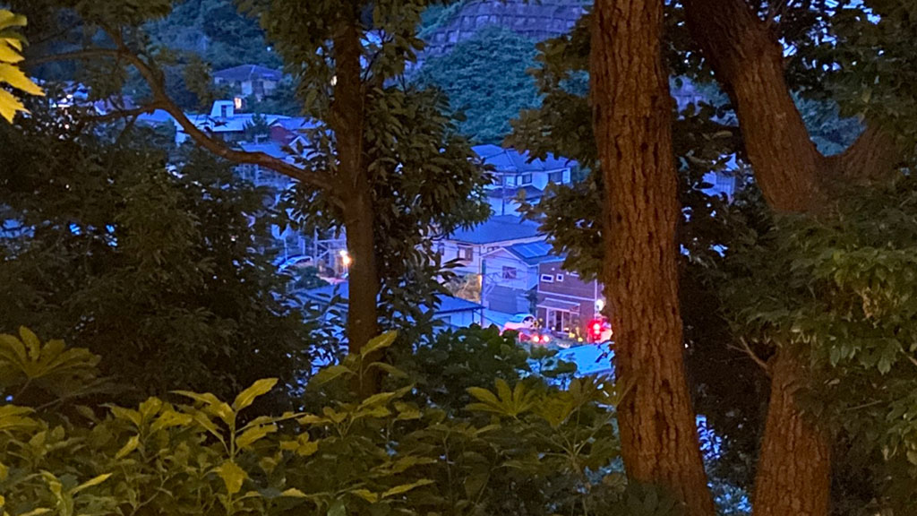 TTMA公認シヴァカ伝統医学学校