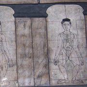 エネルギーライン「セン」を経絡で解明 